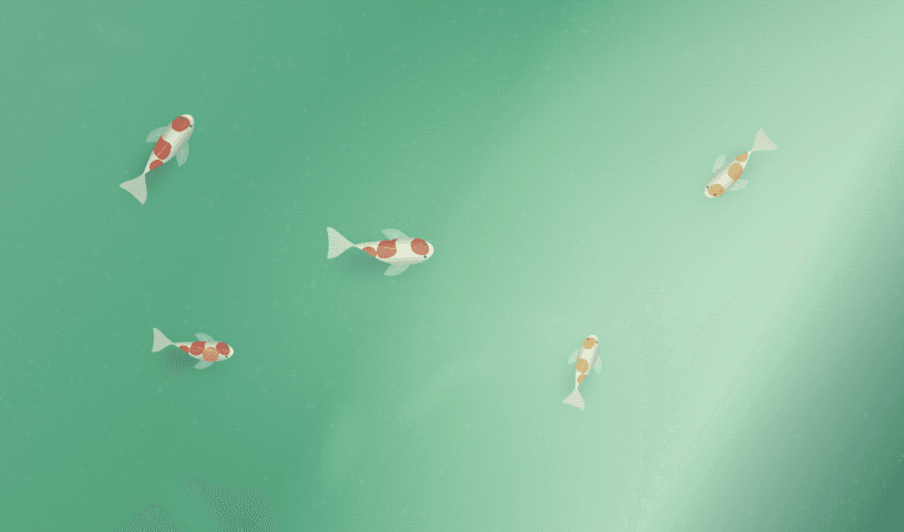 Koi-Teich